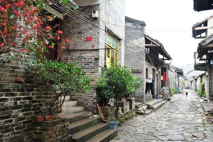 86岁北大老奶奶的人间清醒：独居，不抢救